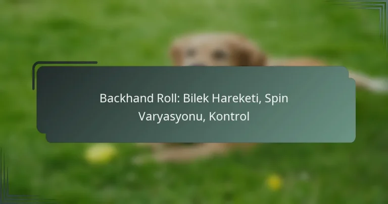 Backhand Roll: Bilek Hareketi, Spin Varyasyonu, Kontrol