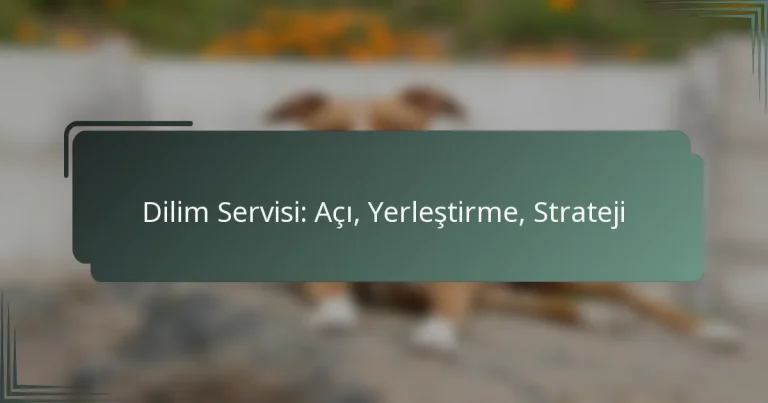 Dilim Servisi: Açı, Yerleştirme, Strateji